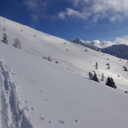 Da C I S A Bed and Breakfast Tambre dʼAlpago Buitenkant foto