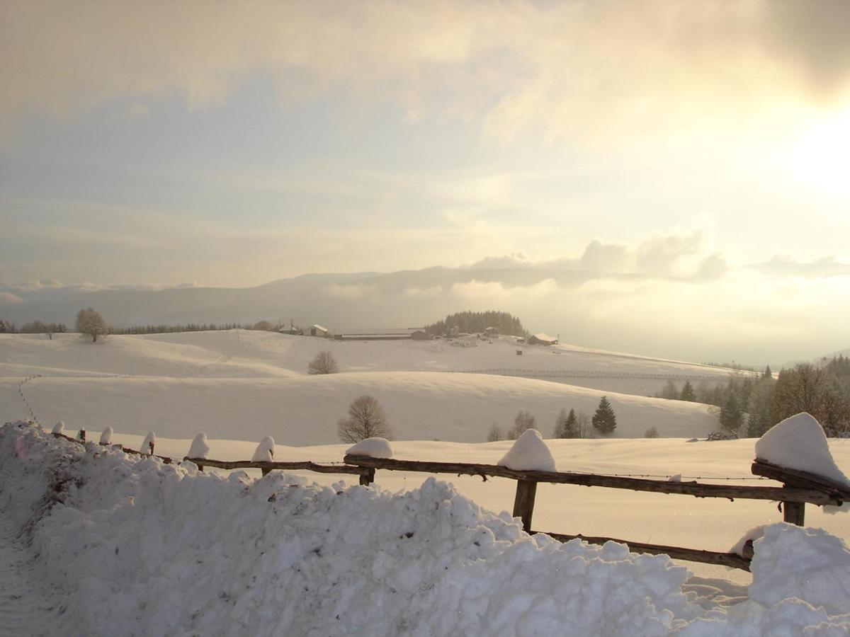 Da C I S A Bed and Breakfast Tambre dʼAlpago Buitenkant foto