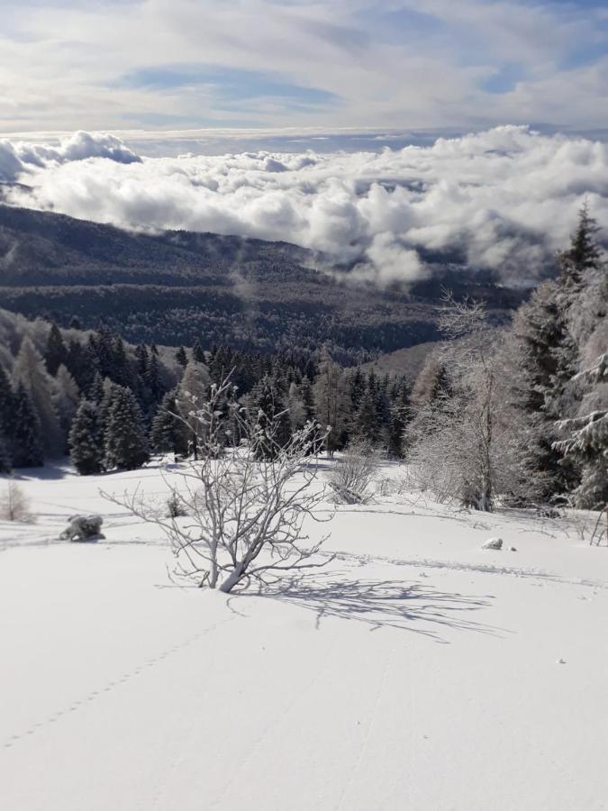 Da C I S A Bed and Breakfast Tambre dʼAlpago Buitenkant foto