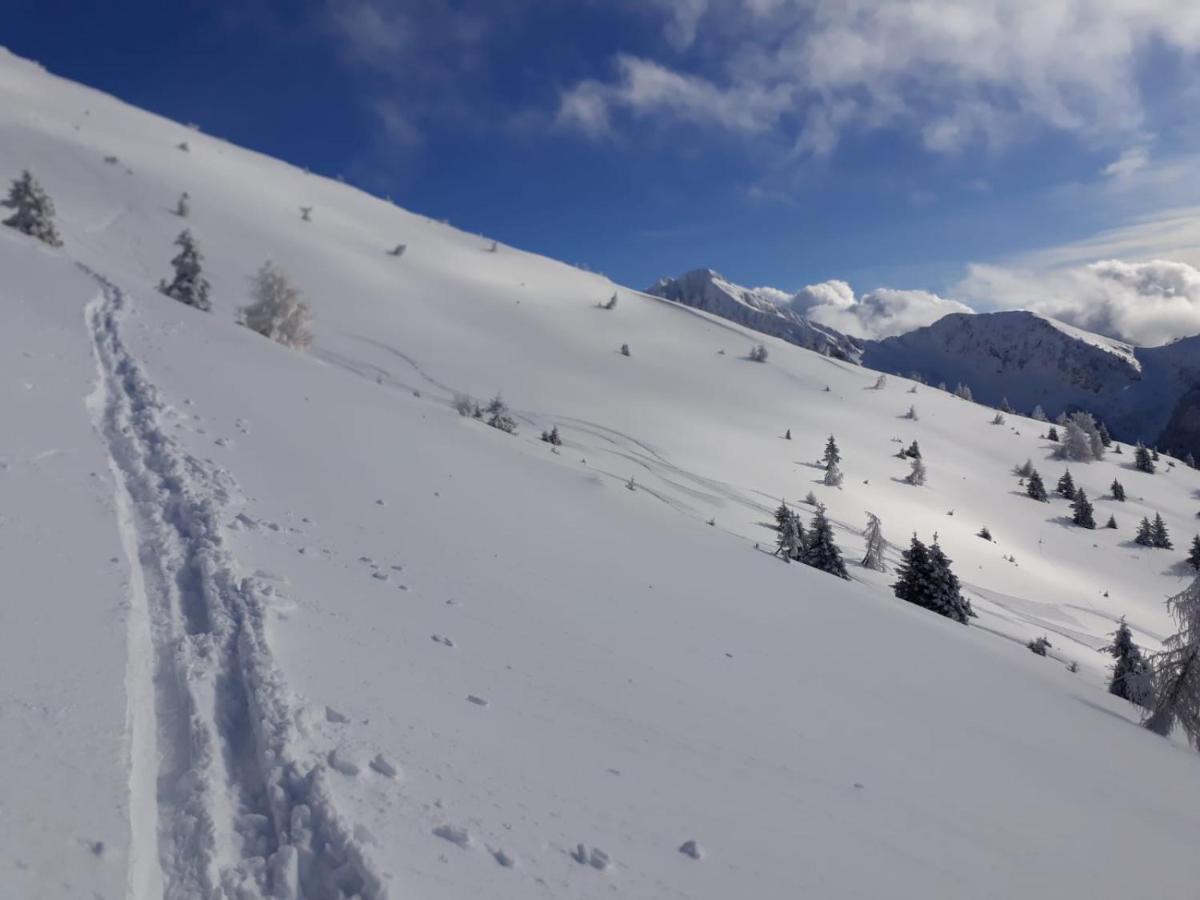 Da C I S A Bed and Breakfast Tambre dʼAlpago Buitenkant foto