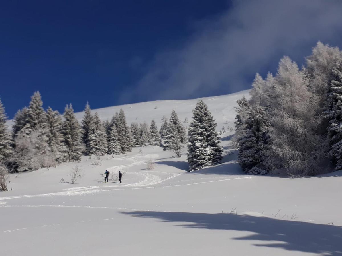 Da C I S A Bed and Breakfast Tambre dʼAlpago Buitenkant foto