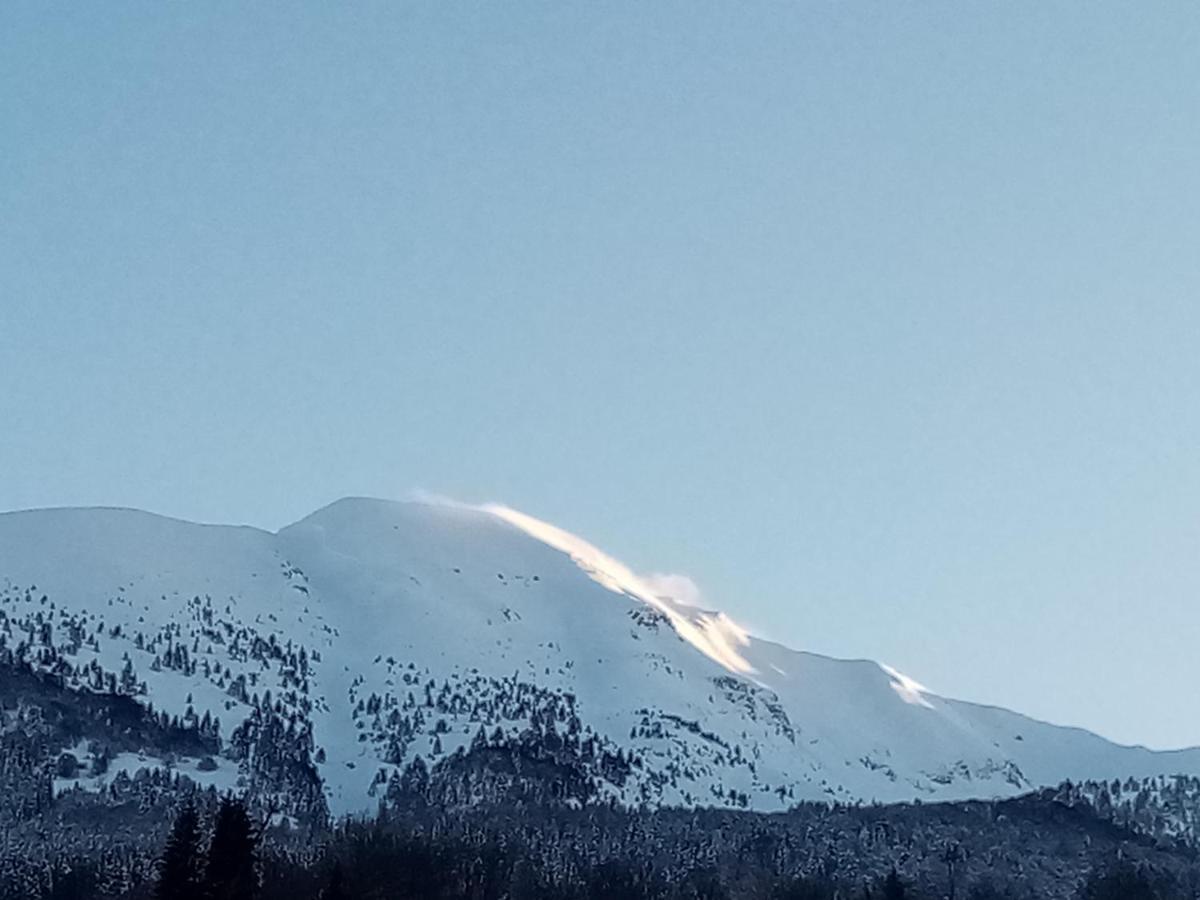 Da C I S A Bed and Breakfast Tambre dʼAlpago Buitenkant foto